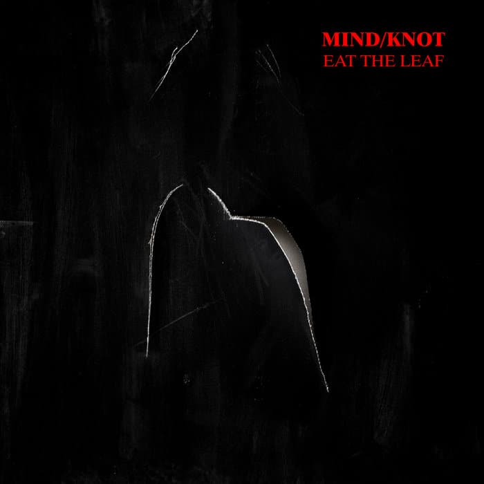 MIND / KNOT: fuori due singoli estratti dall'LP "Eat the Leaf"